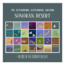 Zoek naar woestijn dieren posters Arizona