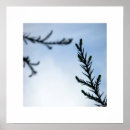 Zoek naar bereik posters Natuur