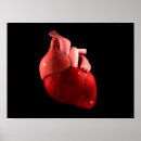 Zoek naar fysiologie posters Gezondheid