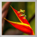 Zoek naar wildlife posters Foto
