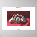 Zoek naar kruidnagel posters Knoflook