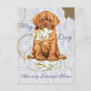 Zoek naar mastiff briefkaarten Dogue de bordeaux