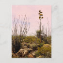 Zoek naar cactus briefkaarten Bloem