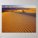 Zoek naar duin posters Landschap