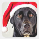 Zoek naar zwarte labrador retriever hond stickers Kerstmis