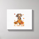 Zoek naar teckel kunst Hond