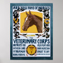 Zoek naar veterinaire posters Paard