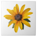 Zoek naar gelukkig tegels Elk persoon