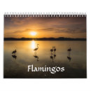 Zoek naar flamingo kalenders Vogels