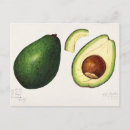 Zoek naar guacamole briefkaarten Fruit
