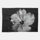 Zoek naar macro keuken handdoeken Fotografie