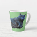 Zoek naar kitty mokken Grijs