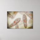 Zoek naar microbe kunst Microbiologie