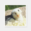 Zoek naar kippen kip servetten Grappig