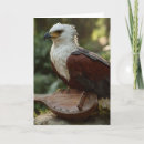 Zoek naar artistieke vogel kaarten Voor iedereen
