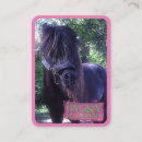 Zoek naar equine visitekaartjes Pony