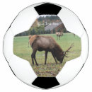 Zoek naar soccer fotografie Voetbal