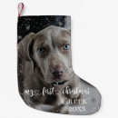 Zoek naar hond foto kerstsokken Kerstmis