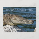 Zoek naar beschermd posters Florida