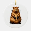 Zoek naar knaagdieren ornamenten Capybara