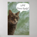 Zoek naar grappige kattenfoto posters Voor iedereen