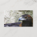 Zoek naar eagle visitekaartjes Foto