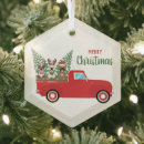 Zoek naar pickup ornamenten Auto