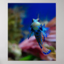 Zoek naar mandarijn posters Kleurrijk