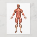 Zoek naar pes posters Digitaal geproduceerd afbeelding