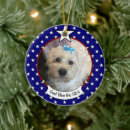 Zoek naar flag ornamenten Kerstmis