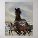 Zoek naar woestijn dieren posters Paarden