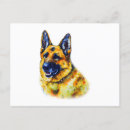 Zoek naar german shepherd briefkaarten Hond