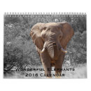 Zoek naar elephant kalenders Elk persoon