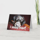 Zoek naar pinschers verjaardagskaarten Dier