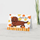 Zoek naar long hair dachshund briefkaarten Schattig