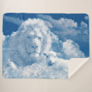 Zoek naar joodse dekens Blauw