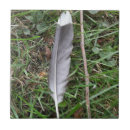 Zoek naar veren tegels Veer