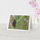 Zoek naar mammoet posters Dieren