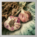 Zoek naar knoflook posters Voedsel