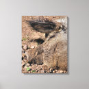Zoek naar varken kunst Elk persoon
