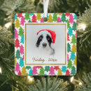 Zoek naar huisdier ornamenten Hond