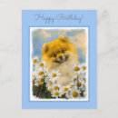 Zoek naar pom briefkaarten Puppy