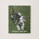 Zoek naar harlequin puzzels Hond