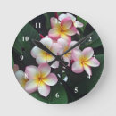 Zoek naar frangipani bloem kunst Foto