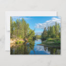 Zoek naar beek briefkaarten Boom