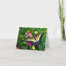 Zoek naar roze zinnia kaarten Vlinder