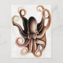 Zoek naar vintage octopus briefkaarten Illustratie