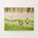 Zoek naar grote vogel puzzels Natuur fotografie