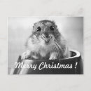 Zoek naar leuke hamster posters Dieren
