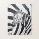 Zoek naar zebra puzzels Wild